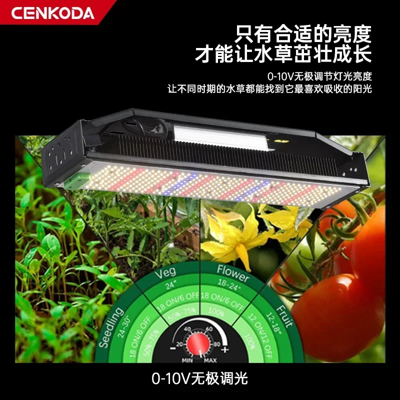 Imagem -04 - Led Grow Lights para Plantas de Interior Espectro Completo Veg Bloom Modos Controle Remoto Temporizador Plant Light Início de Sementes Mudas