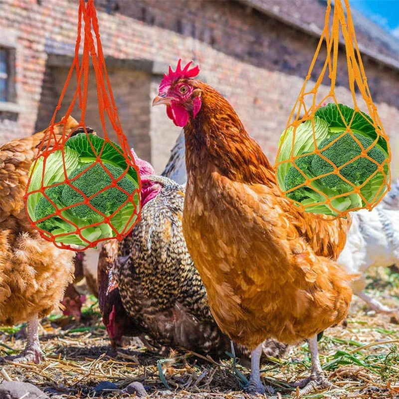 الدجاج الخضار صافي حقيبة حامل فاكهة الدواجن الملفوف الدجاج المغذية علاج تغذية أداة للدجاجة أوزة الطيور الكبيرة بيت الدجاج