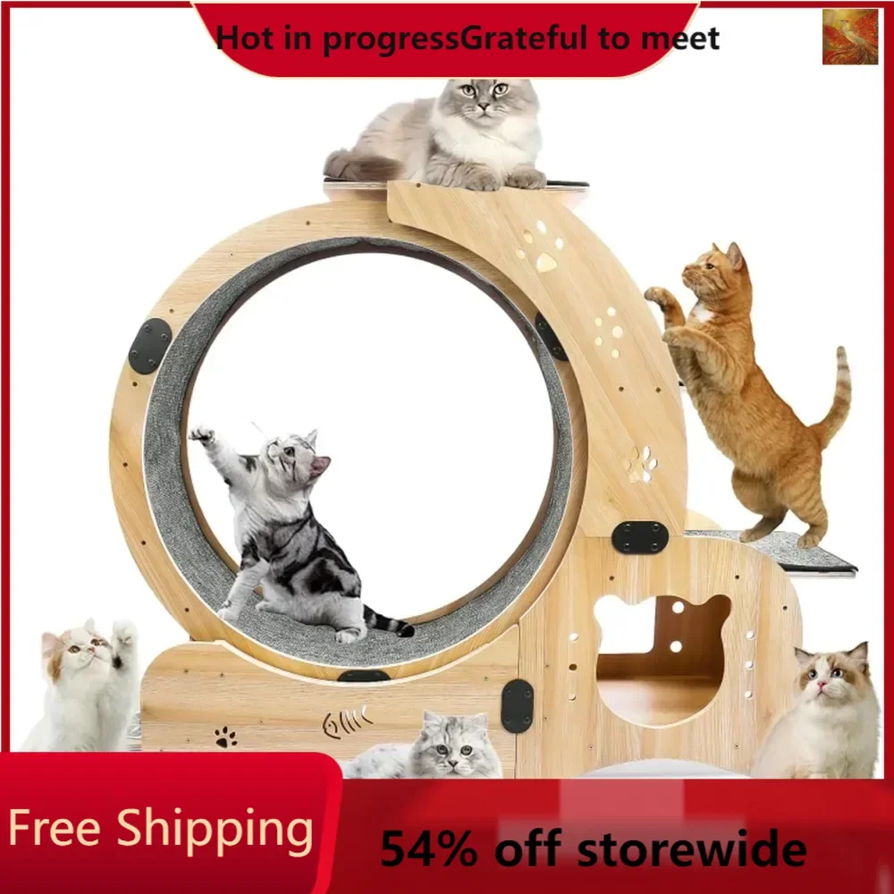 

Cat Wheel 6-in-1 Upgraded Exercise Wheel for Indoor Cats: Large Treadmill with Silent Running Wheel, Perfect Cat Furniture