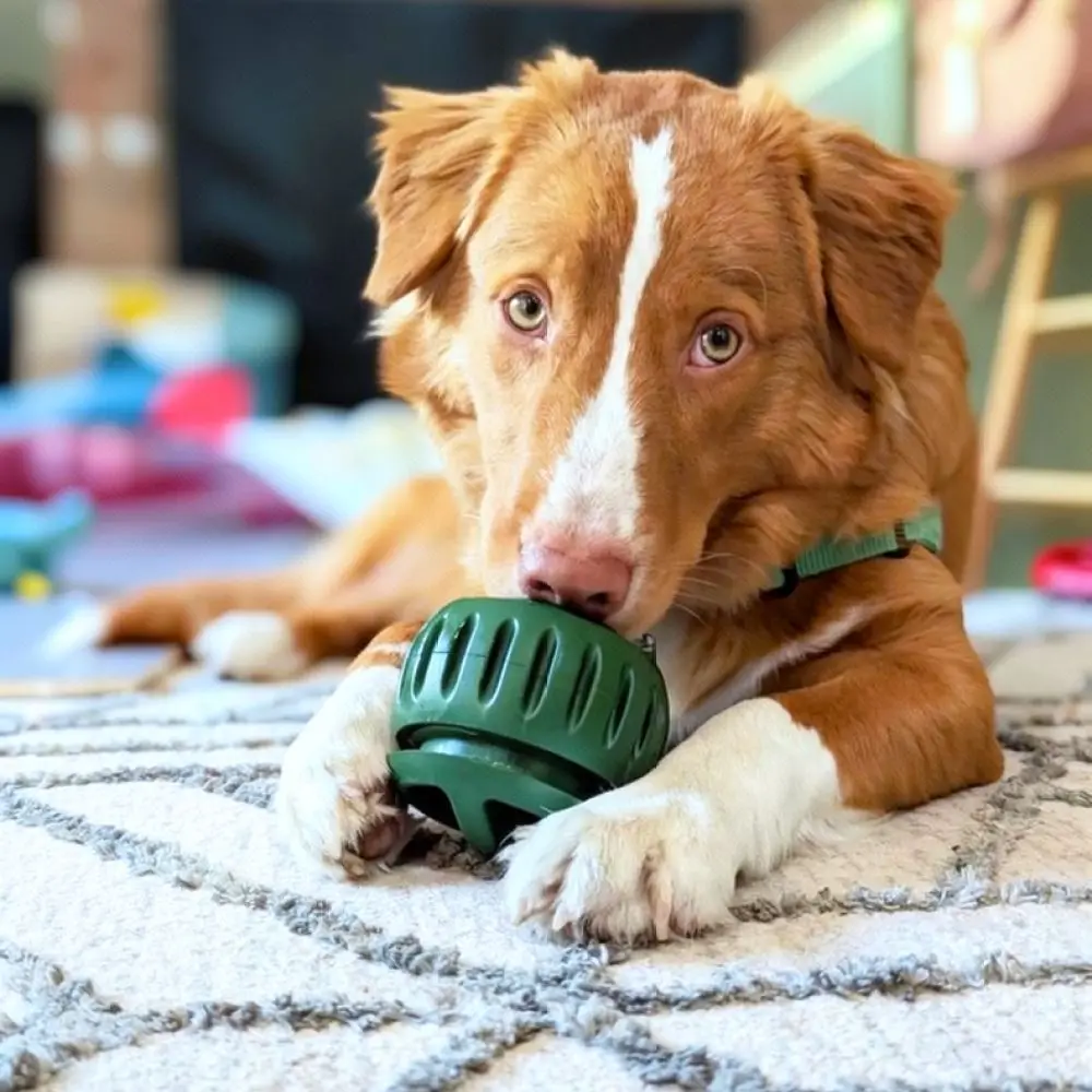 Durable Silicone Pet Treat Dispenser Ball Interactive Dog Puzzle Toy For Cats Puppy Teething Teeth Cleaning