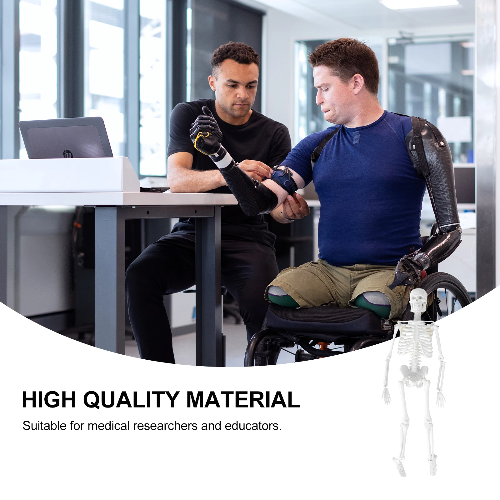 

Human 45Cm Medical Anatomical Study Supplies Removable Skull Movable Mandible Pvc Teaching Tool For Students