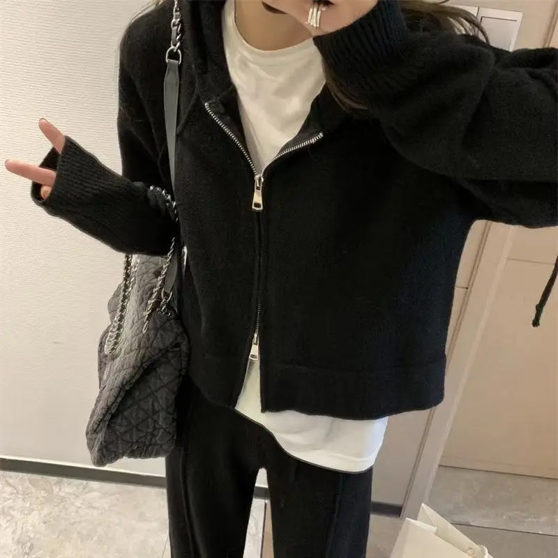 

Autumn Winter Solid Color Wide Leg Pants Set Women's Two-Piece Suit 2025 New Zipper Hooded Sweater Knitted Casual Fashion