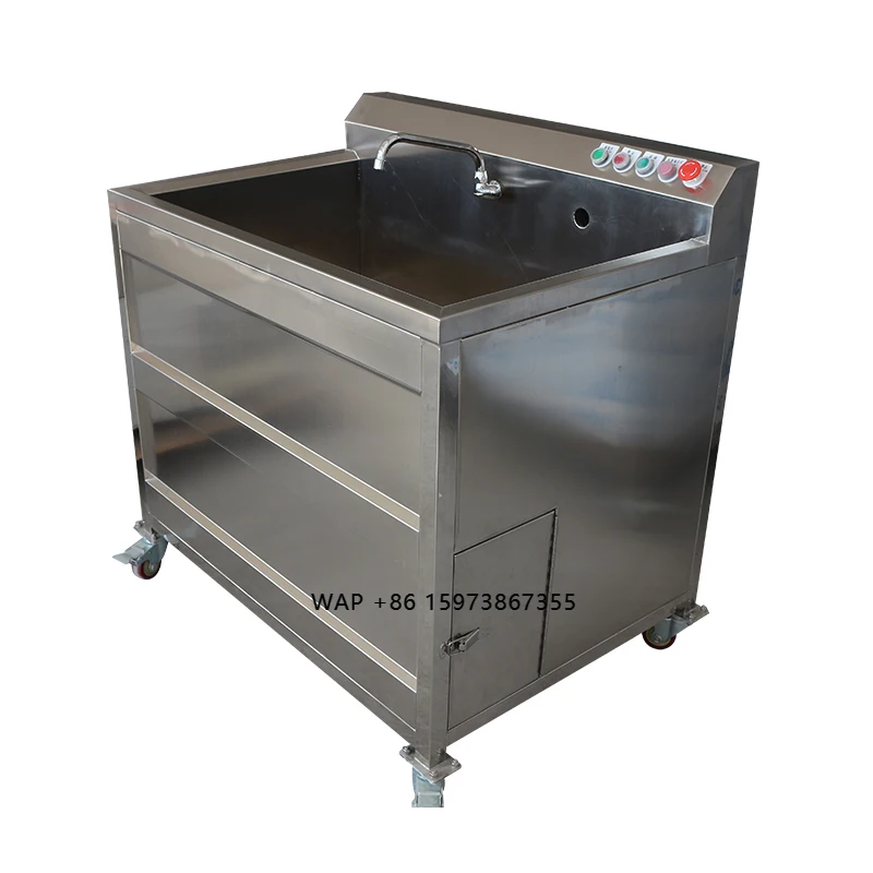 Double Tank Automatic Ozone Washer Machine Efficient for Fruit & Vegetable Washing Bubbles Feature Included