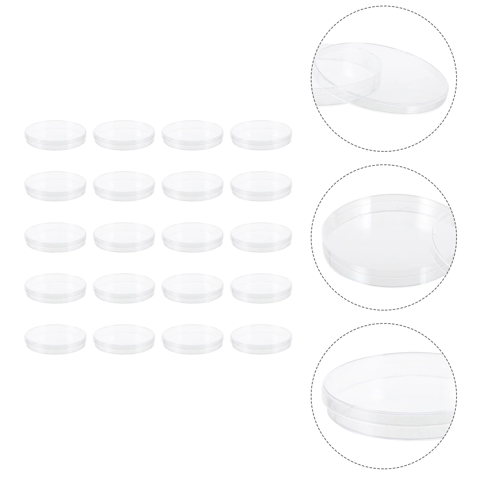 

20 Pcs Petri Dish Transparent Dishes Culture with Lids Clear Container Plastic Glass