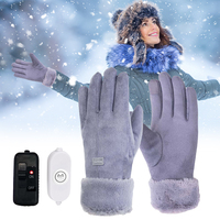 Winter Thermal Cycling Gloves 3 Gear Adjustment Heating Thermal Gloves 10000mAh Motorbike Racing Riding Gloves Windproof