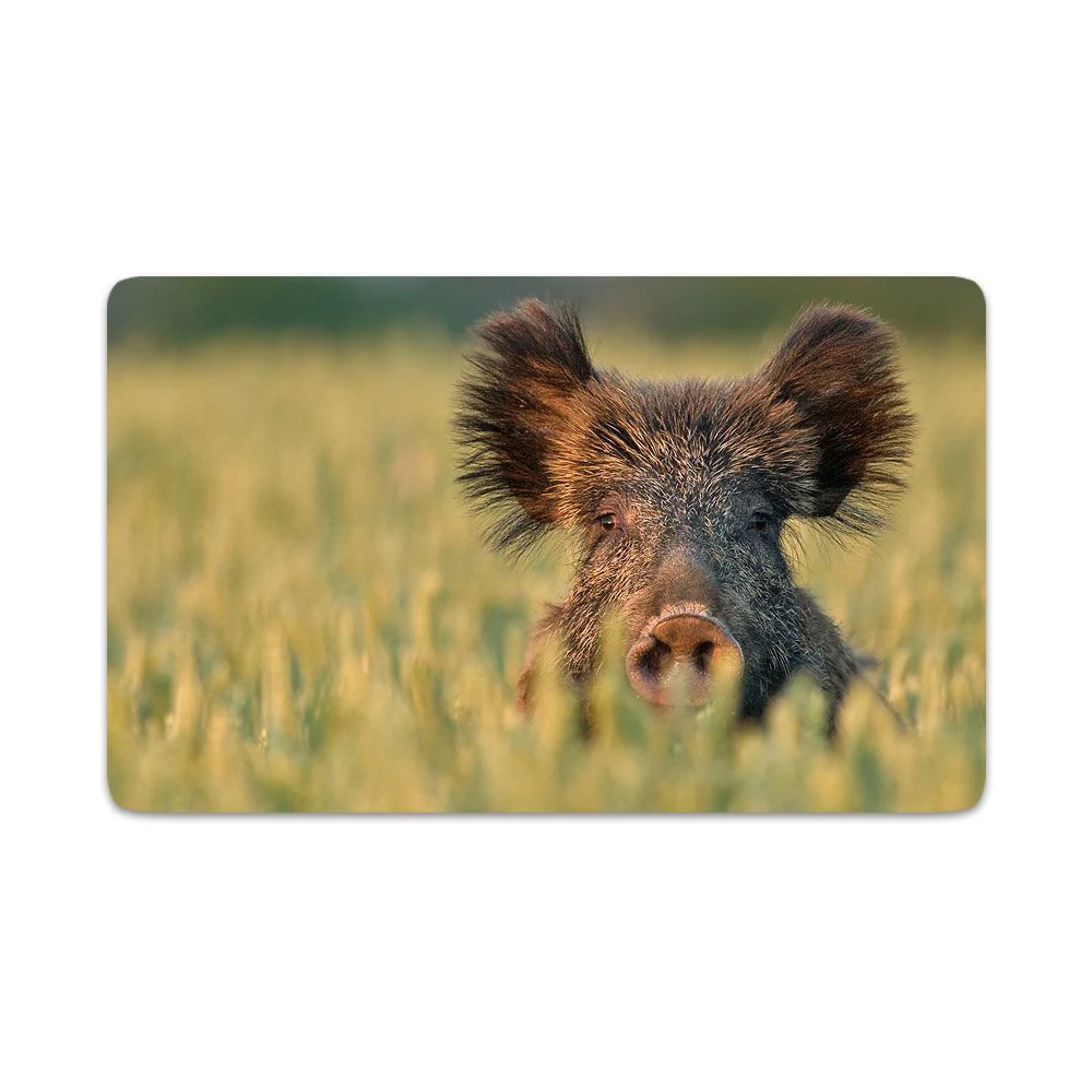 

HX Fashion Animals Doormats Funny Cute Wild Boar 3D Printed Carpets for Living Room Flannel Indoor Hallway Bath Mat