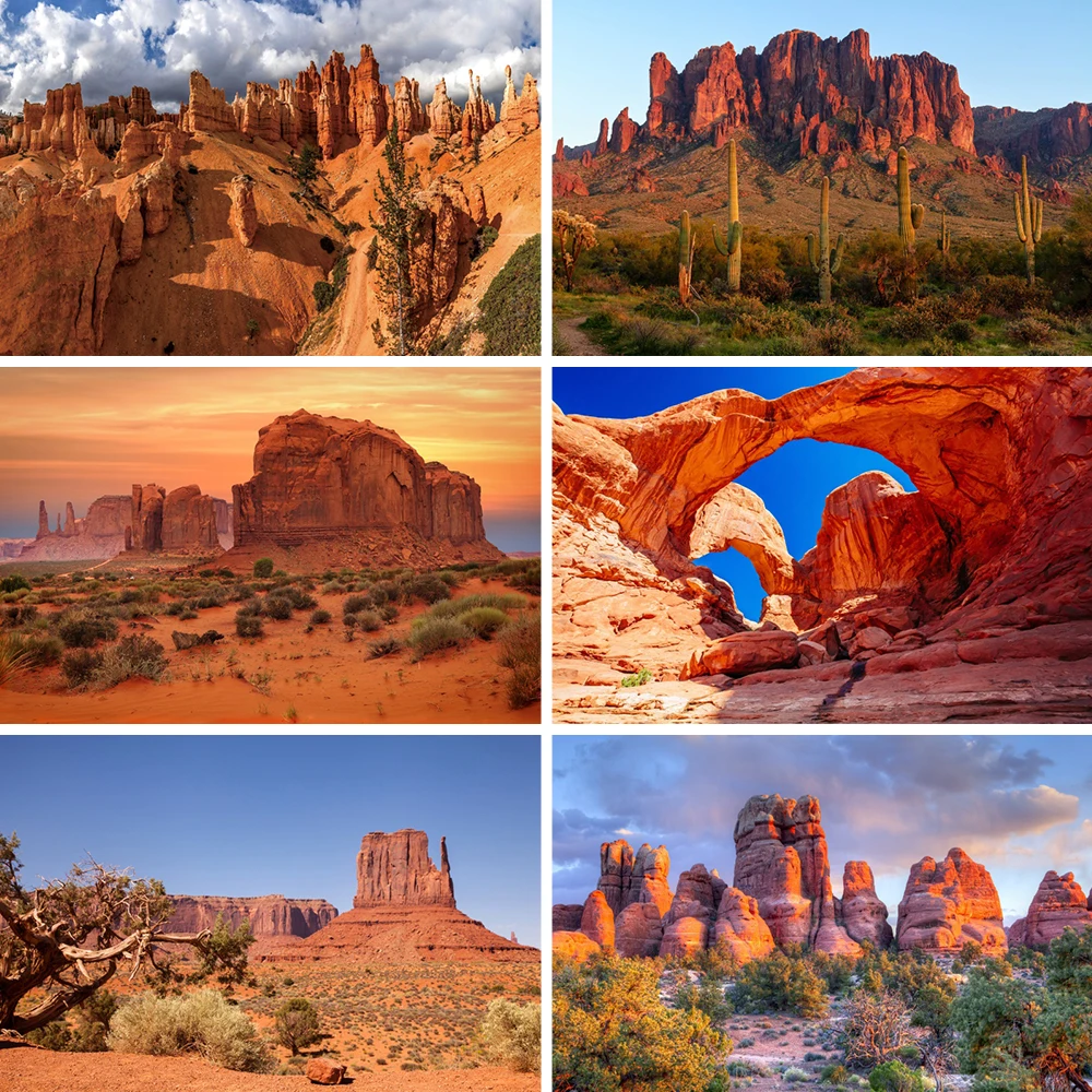 Fondo de fotografía de las montañas del desierto occidental, árboles muertos, hábitat de reptiles, arbustos, paisaje natural de la ladera de la colina, fondo para retratos