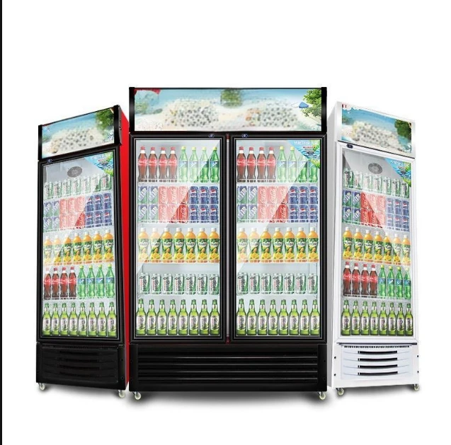 Refrigerator Equipment Factory 2 Door Commercial Refrigerator Freezers Refrigerators Display Cooler 2025