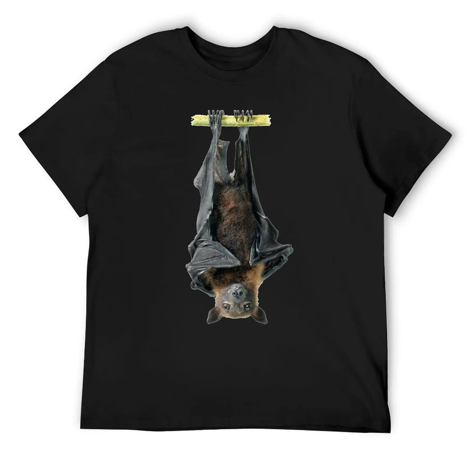 Cool Cute Realistic Bat hanging upside down animal lover gift t shirt T-Shirt