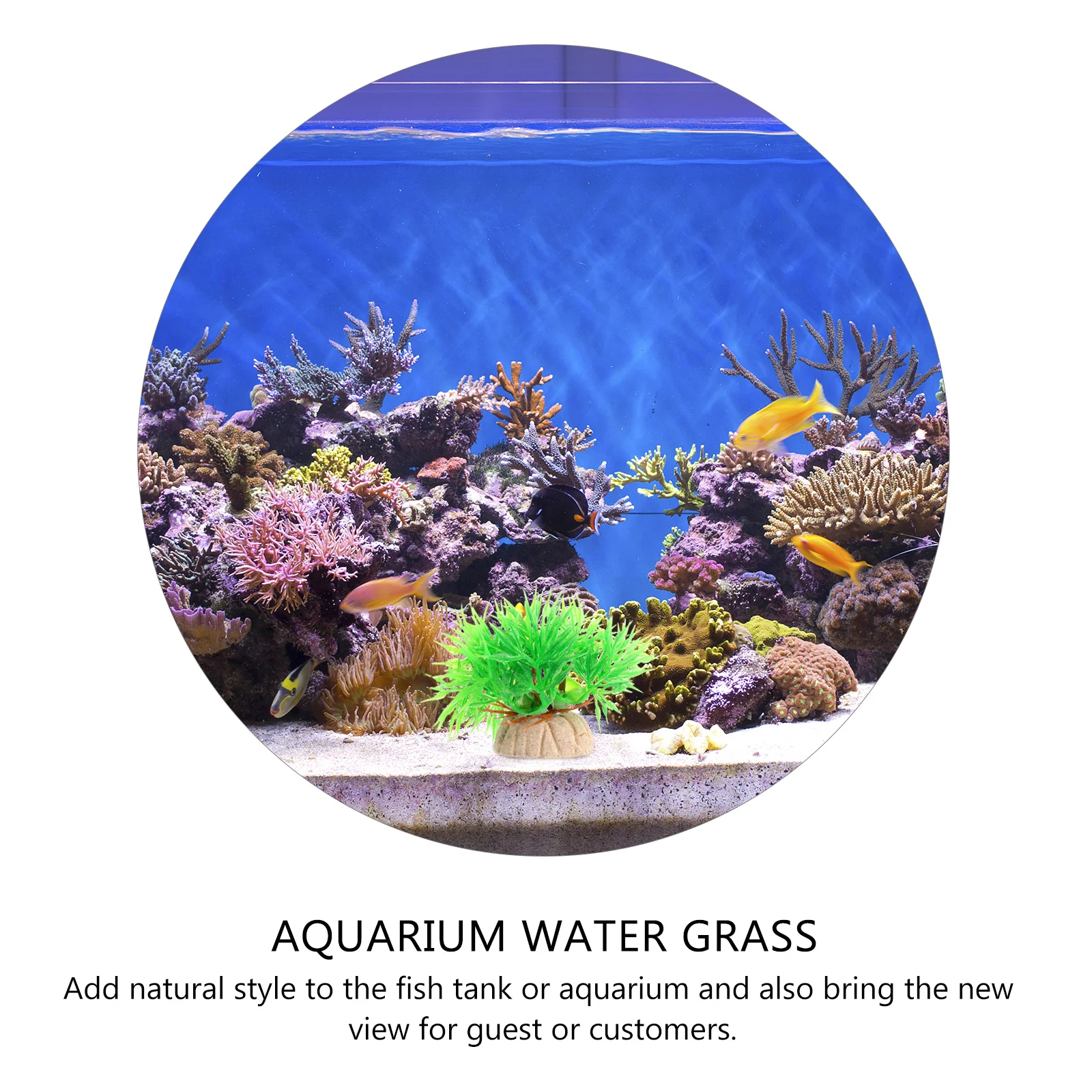 

15Pcs Water Grass Decoration Realistic Plastic Aquarium Plants Fish Tank Landscape Natural Environmental Protection Decoration