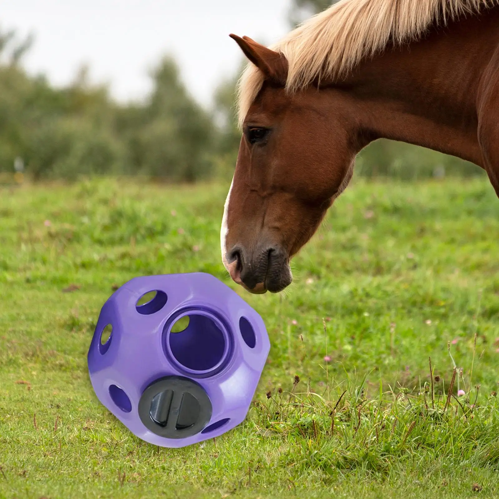 Fun Horse Treat Ball Hay Feeder Toy Ball Horse Feeder Ball Horse Feeding Toys Hollow Treat Feeder for Horse Stable Stall