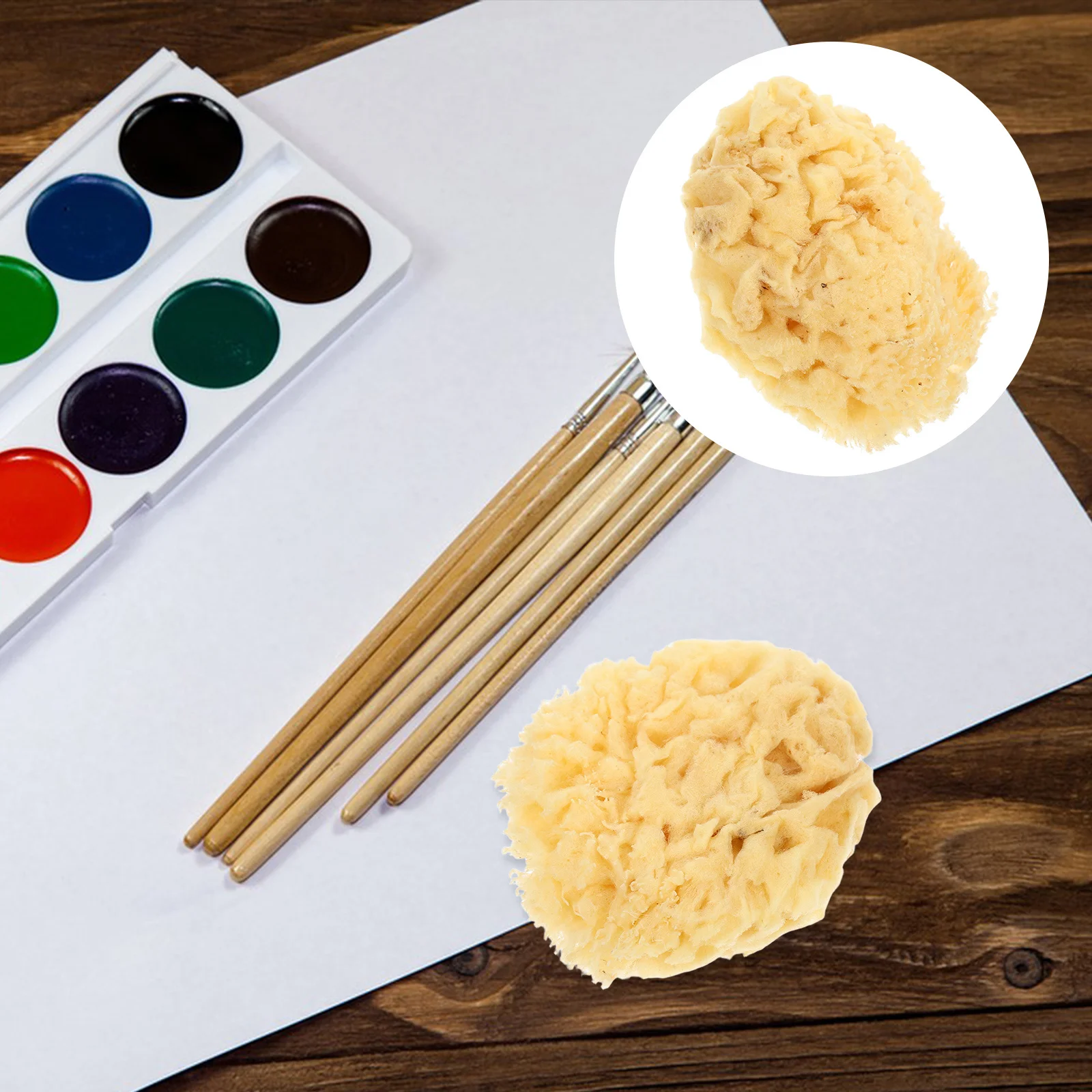 

Natural Sea Sponge Multi-Functional Soft Watercolor Tool DIY Texture Painting Professional Water Absorption Sponge