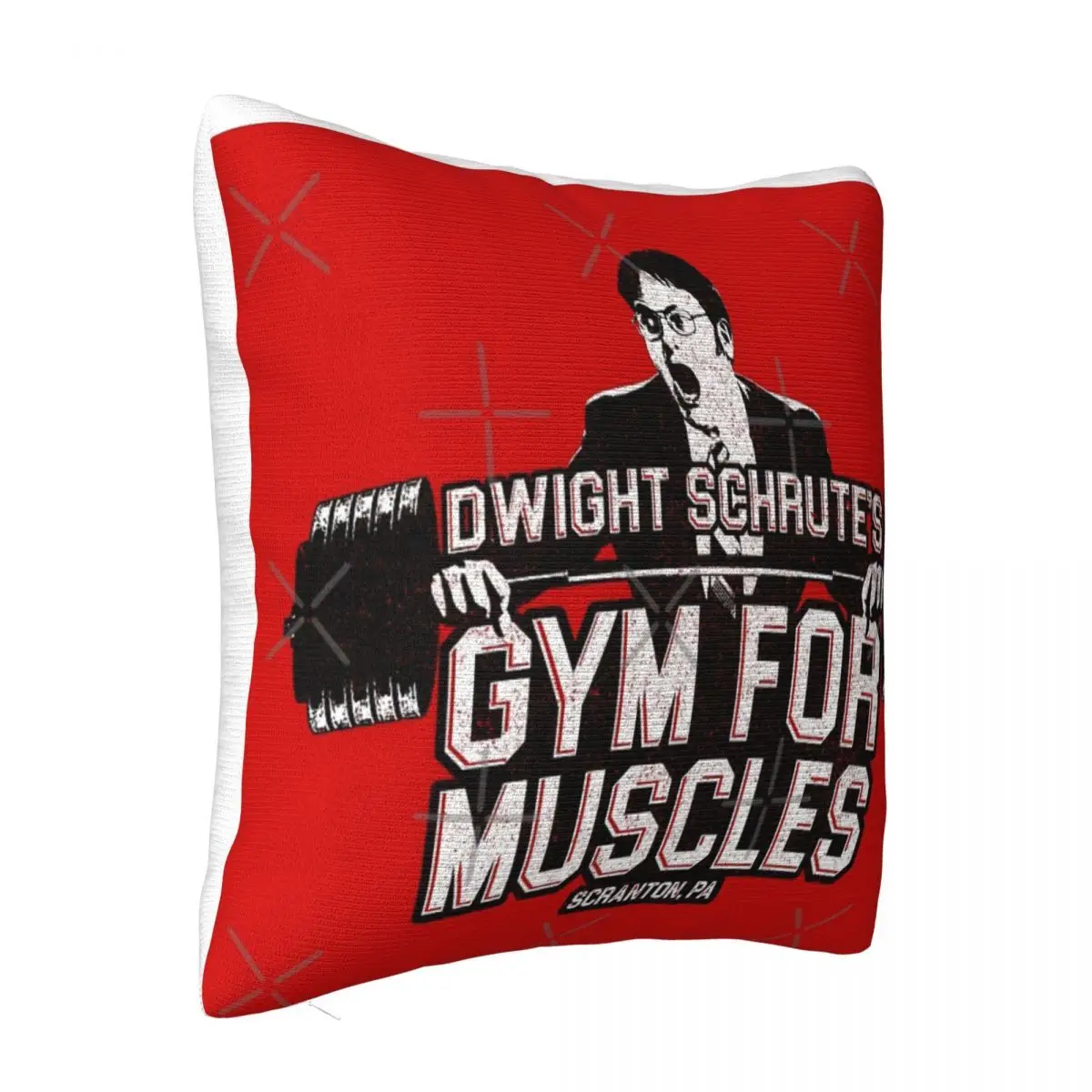 Dwight Schrute'S Gym For Muscles Pillow Ornamental Pillows Pillow Covers Decorative Pillow Case Pillow Cover