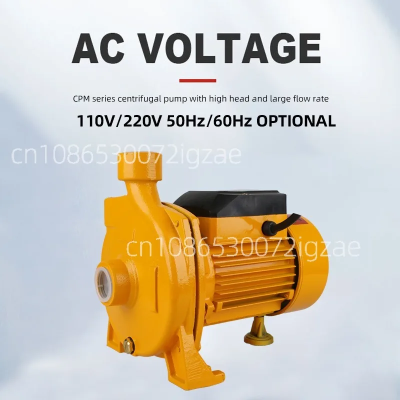 Centrifugal pump CPM1301 