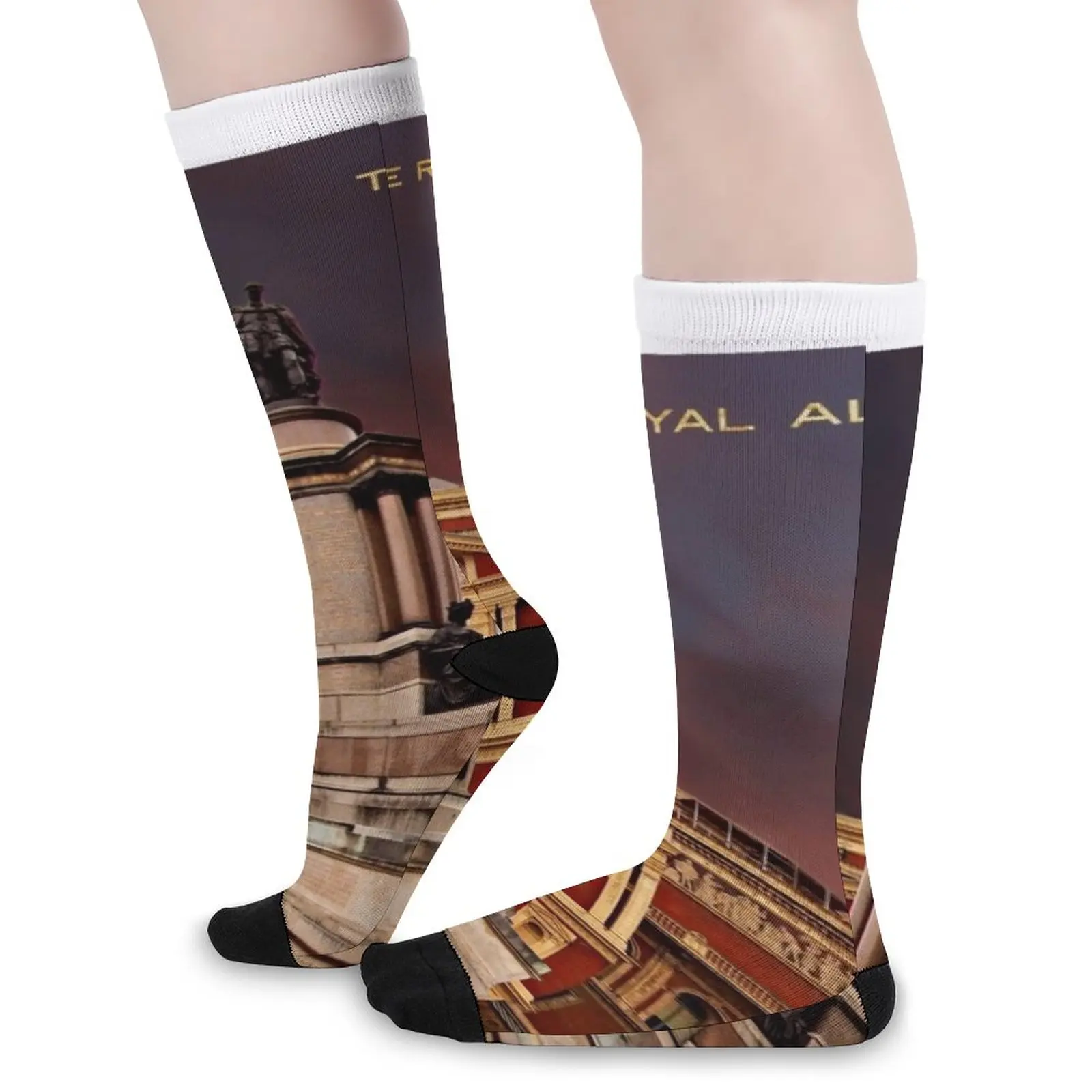 The Royal Albert Hall, London Socks Men's socks with print compression socks men Women's short socks