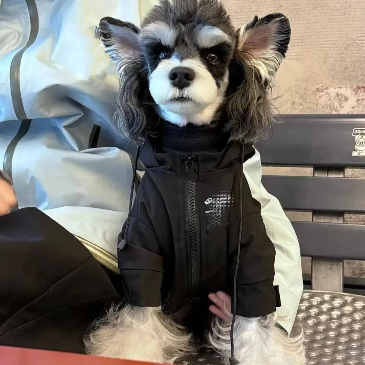 暖かい綿のペット服小型犬と猫用テディビションフレンチブルドッグ秋冬防水屋外服