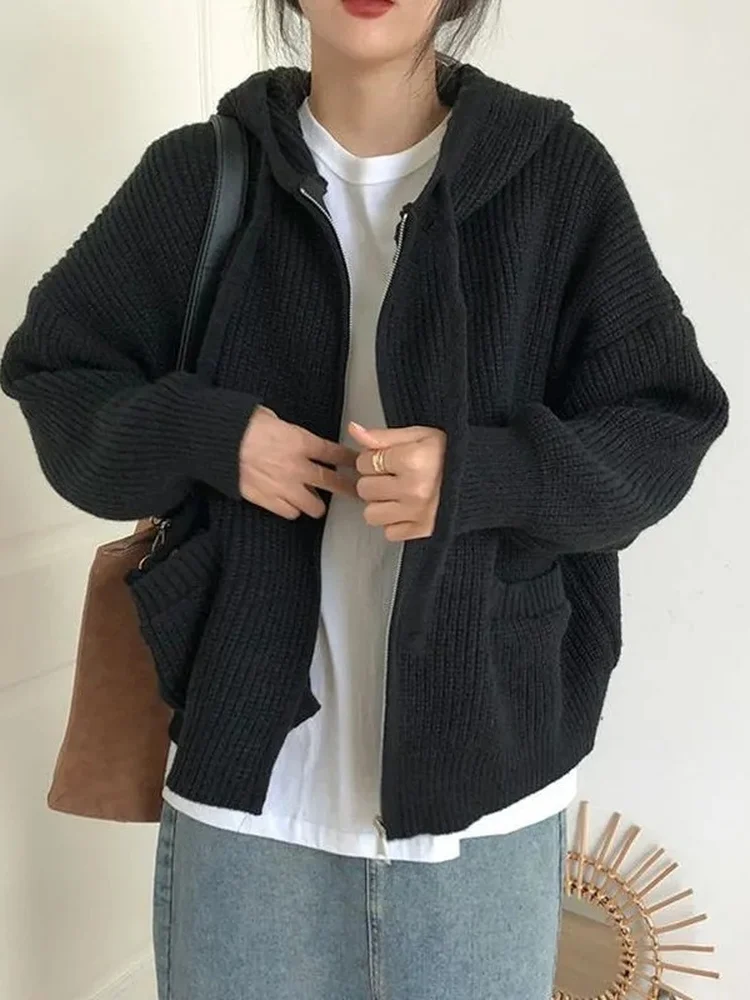 Elegant Hooded Zipper Knit Sweater Cardigan Women's Fashionable Versatile Autumn Winter High Quality Lazy Style Casual Outerwear