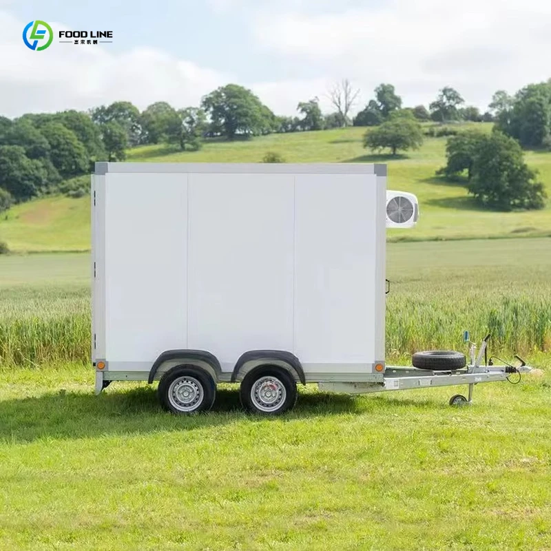 2026 New Mobile Cold Storage Unit Dual-Power Low-Noise for Relief Operations, Outdoor Events & Food Logistics Customized
