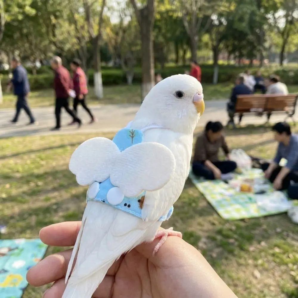 Adjustable Bird Flight Suit Breathable Escape Proof Bird Flying Clothes Anti-Bite Sun Protection Parrot Flying Harness