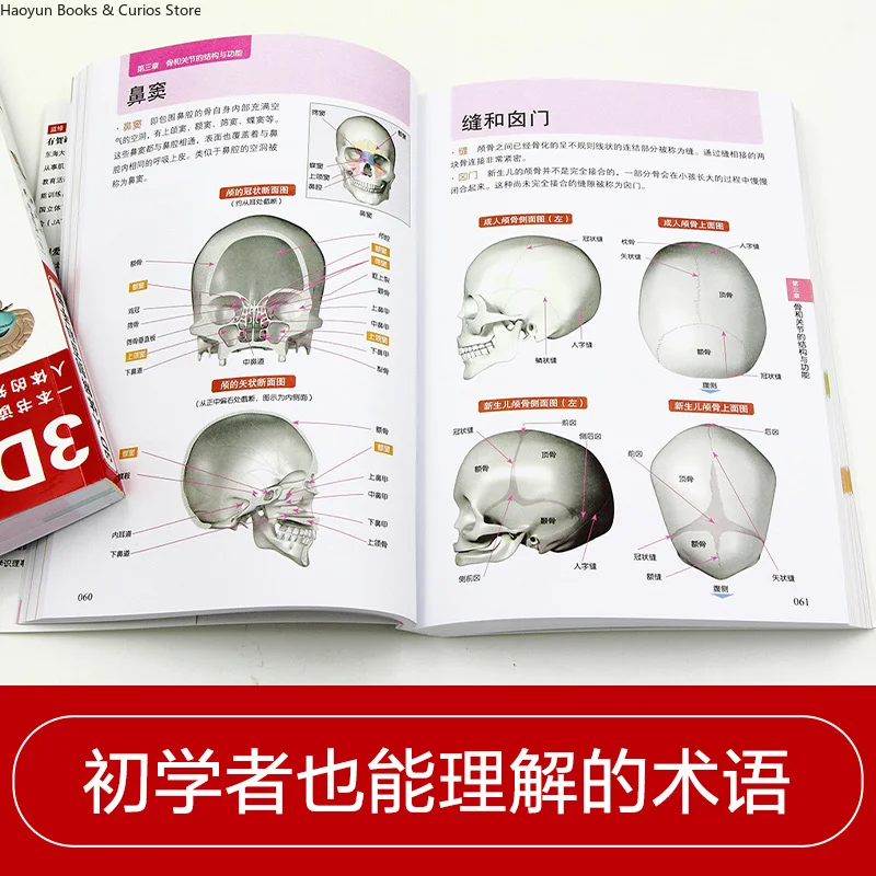 3D Human Anatomy Encyclopedia Handbook、Detailed Illustrations & In-Depth Explanations、knitting book、crochet books、weaving book