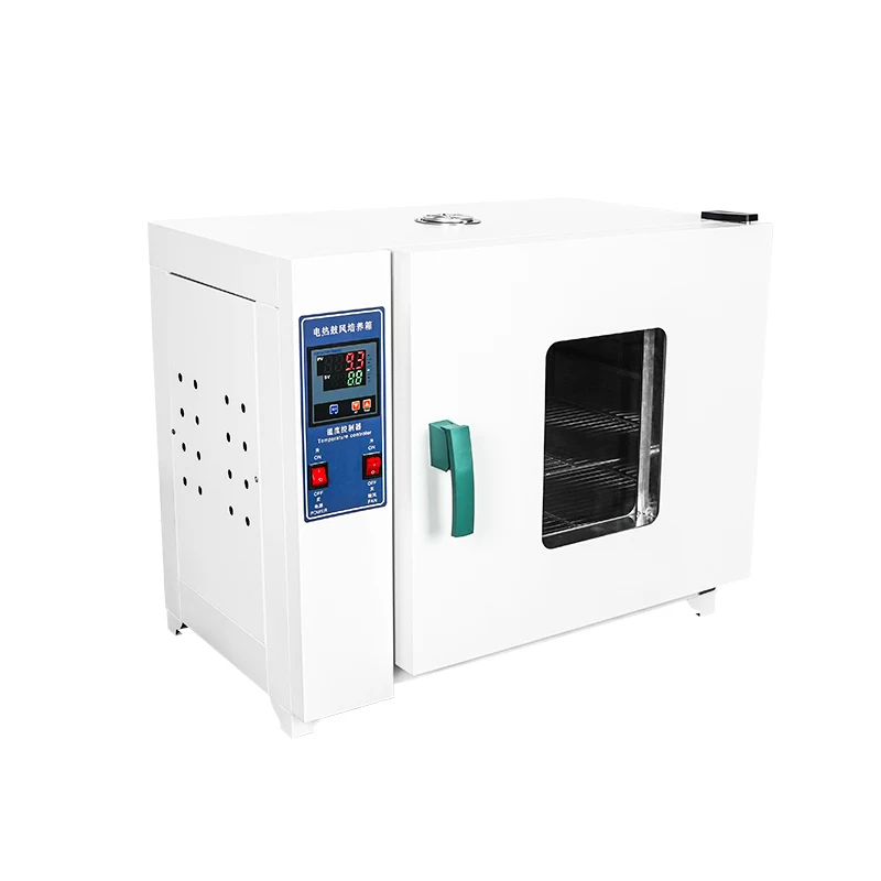 

Customizable Electric Blast Drying Oven For Medical & Laboratory Use Intelligent Veterinary Instrument