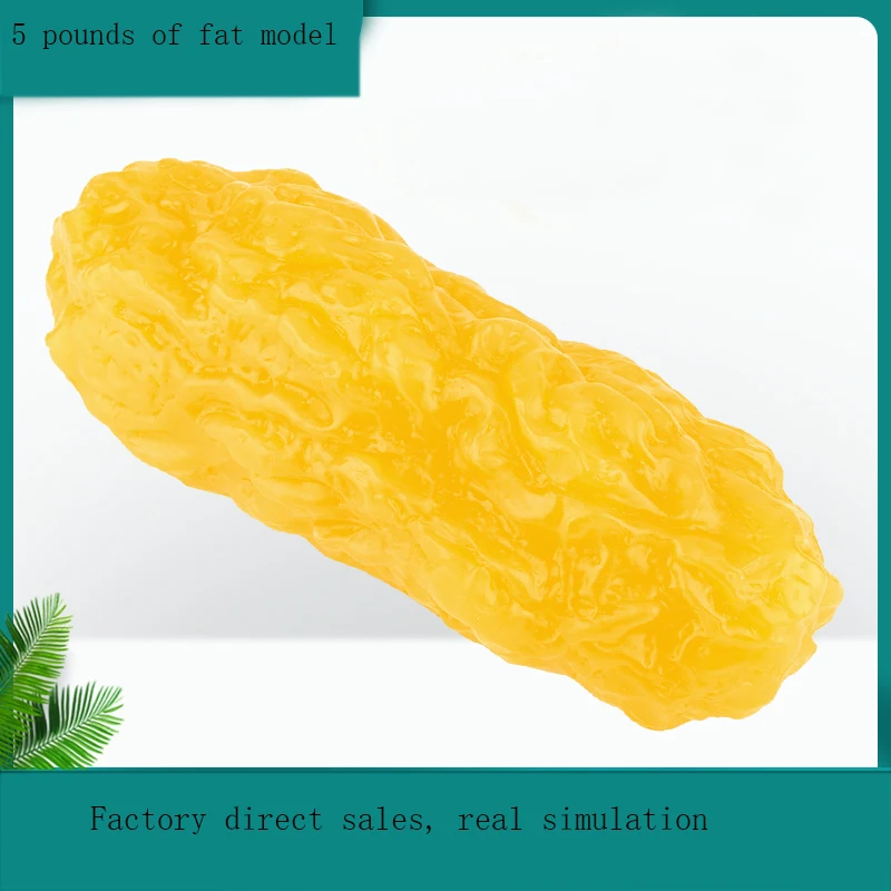 Ensino médico de silicone humano, modelo de gordura de uma libra, estrutura de gordura do corpo humano, simulação de exercício de tecido, auxiliares de ensino