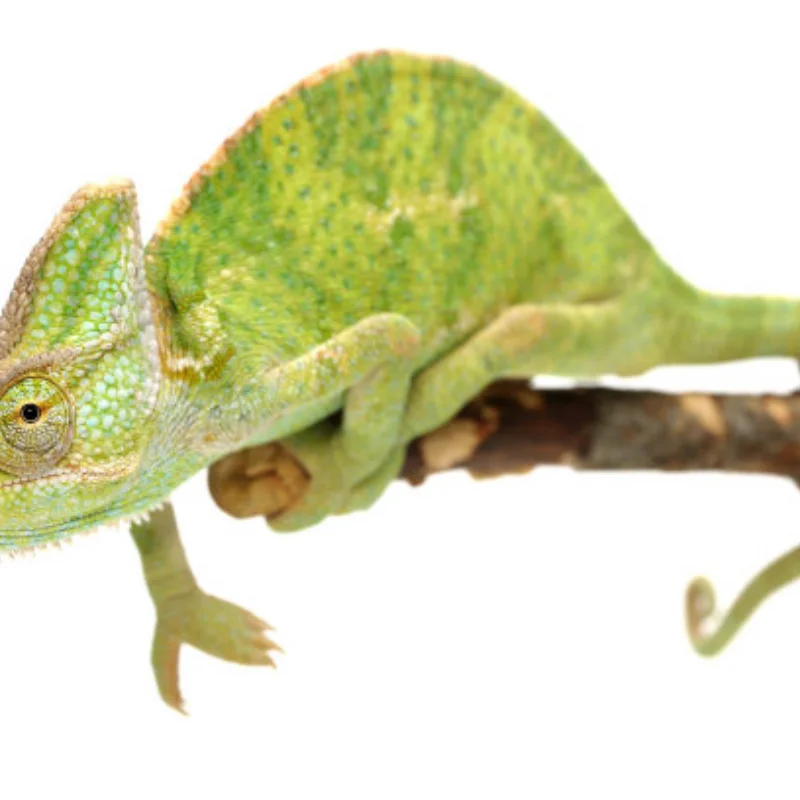 

4pcs 42mm 1/10 RC On-Road Drift Racing Car Metal Wheel Rim Wheel Hubs for Tamiya M03 M04 M05 M06 M07 MB-01 XM-01 Upgrade Parts