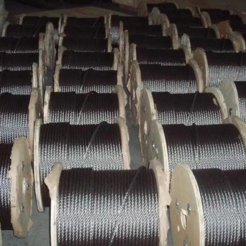 2mm Galvanized Steel Wire Rope