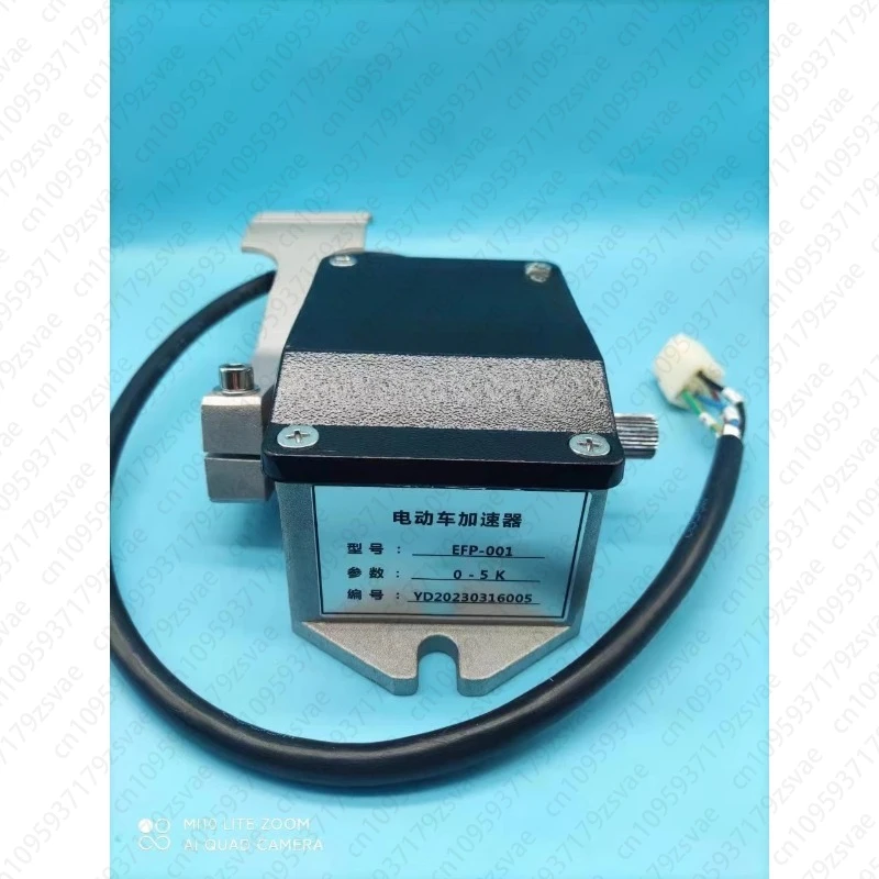 Electric Sightseein… - image