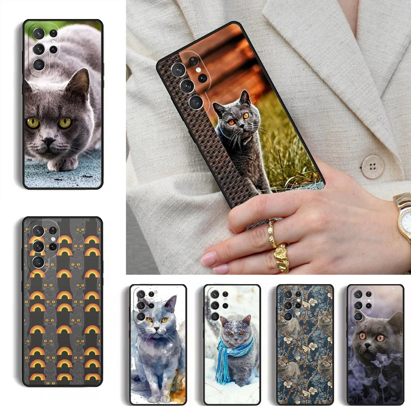 Funda Protectora para Teléfono con Diseño de Gatito Chartreux para Samsung Galaxy S26 S25 Ultra S24 S23 S22 S21 Plus Note 10