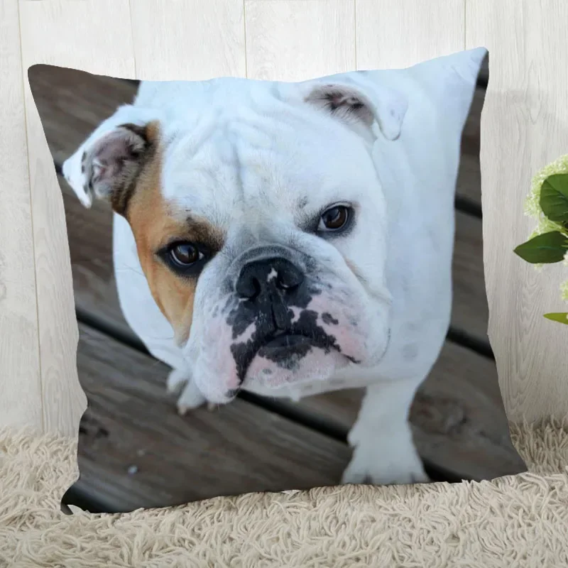 

Pillow Cover Bulldog Customize Pillow Case Modern Home Decorative Pillowcase For Living Room 45X45cm,40X40cm A2020.4.29