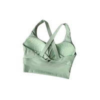 All-in-one Sports Bra Collection Breast High-intensity Professional Shock-proof Huddle Running Bra Yoga Fitness Bra Summer Cloth - Image 5