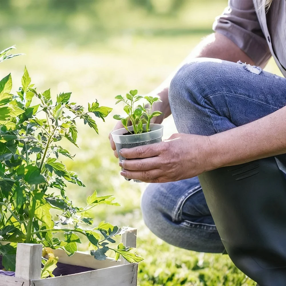 

30 Clear Plastic Flower Pots Featuring Drainage Holes and 50 Plant Labels for Raised Plant Care and Monitoring