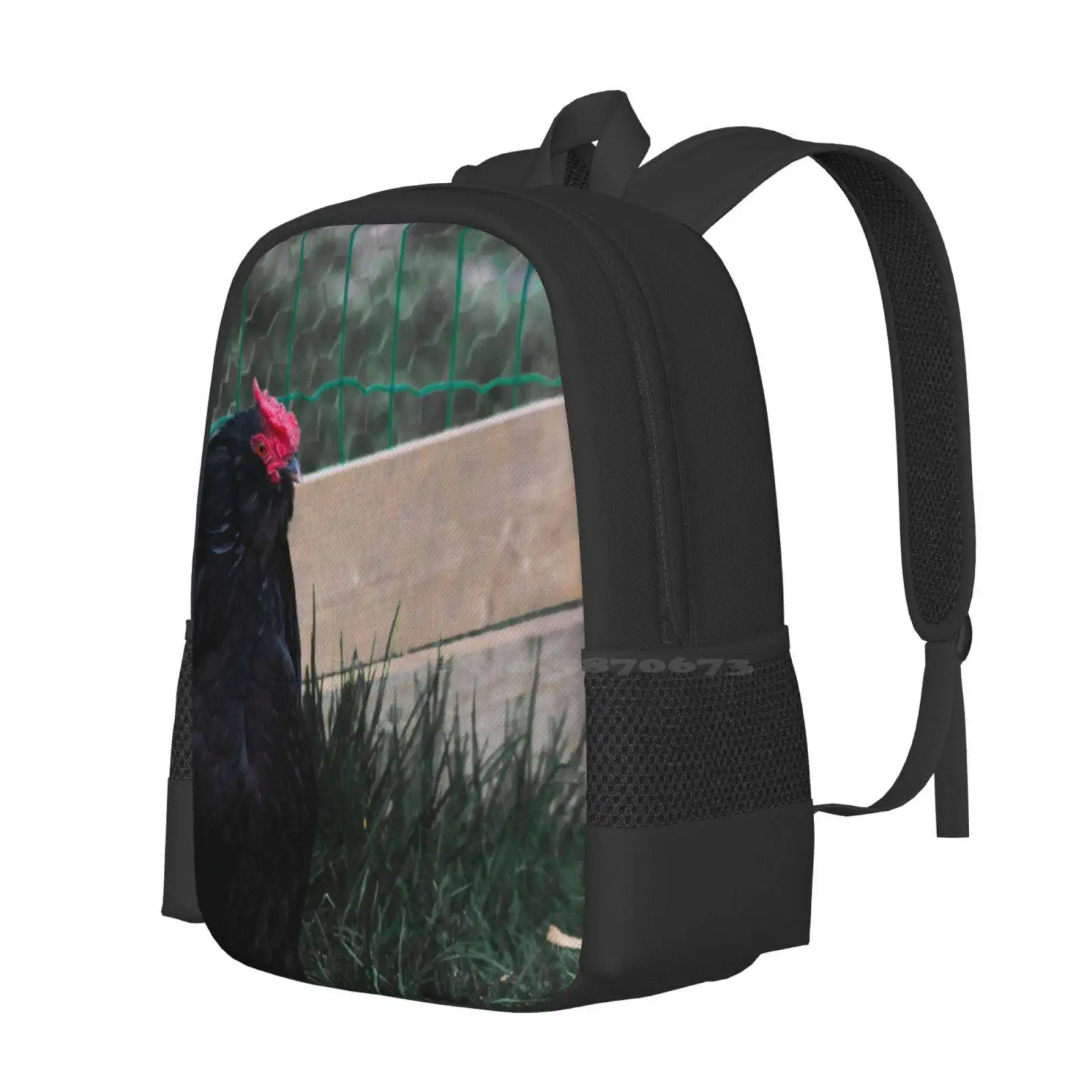 Black Chicken Backpack For Student School Laptop Travel Bag Bird Haan Animal Kingdom Farm Rooster Zoology Gallus Domesticus