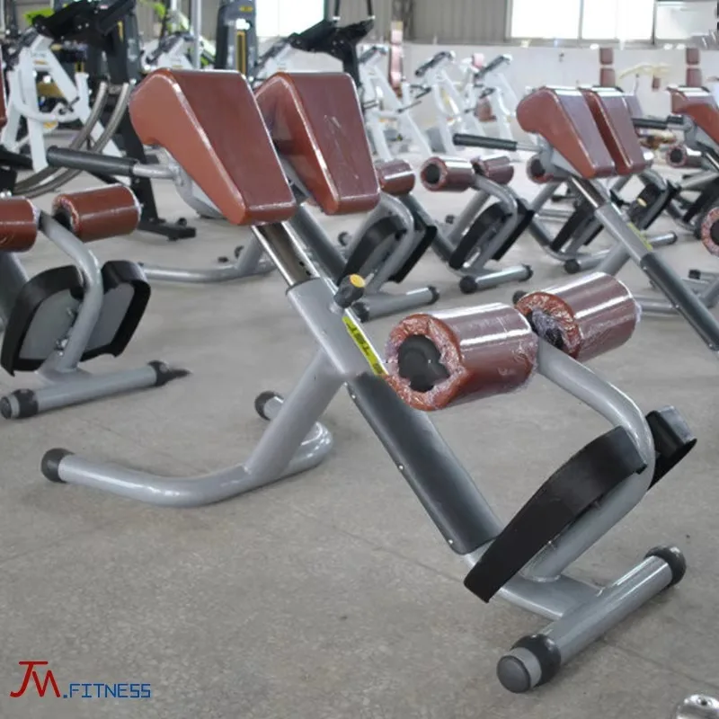 Factory Direct Sale High-Quality Gym Equipment Roman Chair Strength Training Commercial Roman Chair Machine