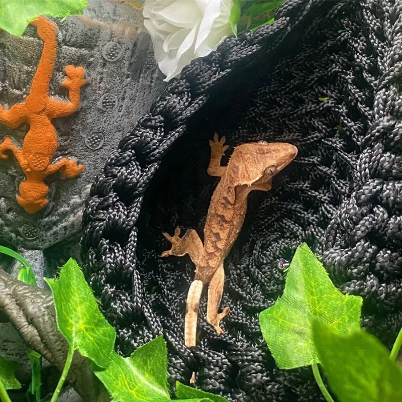 Reptile Hanging Hammock Bed 2