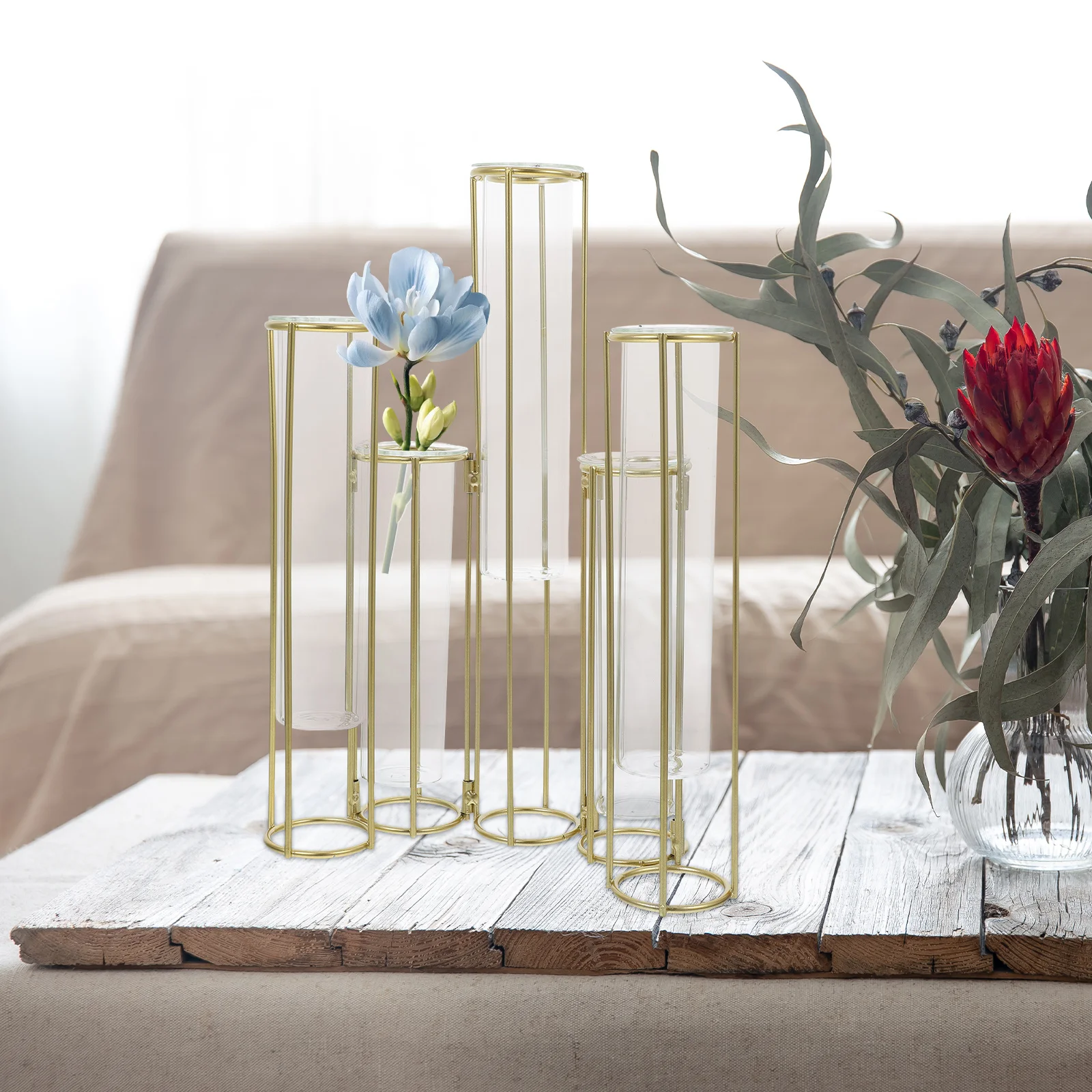 Five Connected Hydroponic Vases Test Tubes Flower Arrangement Holder Iron Glass Display Stand Arrangements Plant