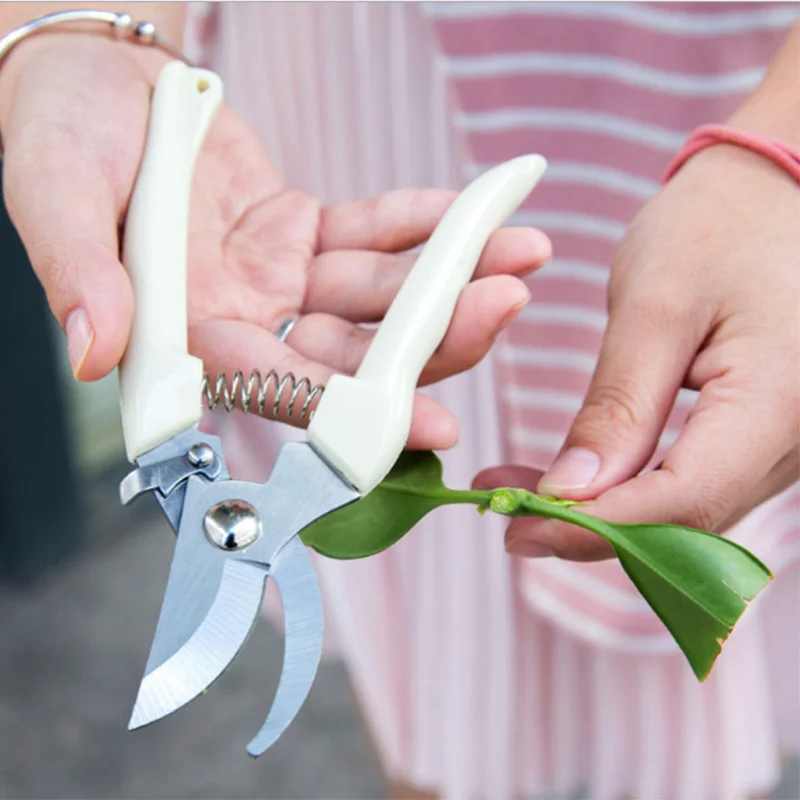 Alat gunting pangkas tangan Bonsai, pemangkas Stainless Steel untuk berkebun cabang bunga 2 buah