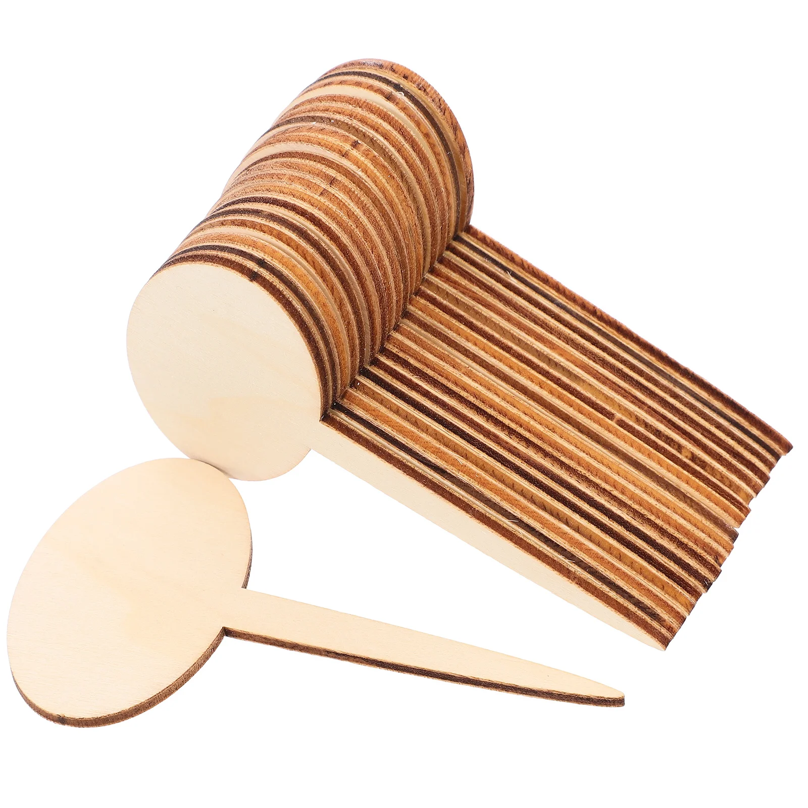 

20Pcs Succulent Label Stakes Wooden Plant Markers for Outdoor Garden Use Plant Name Tags Horticultural Accessories