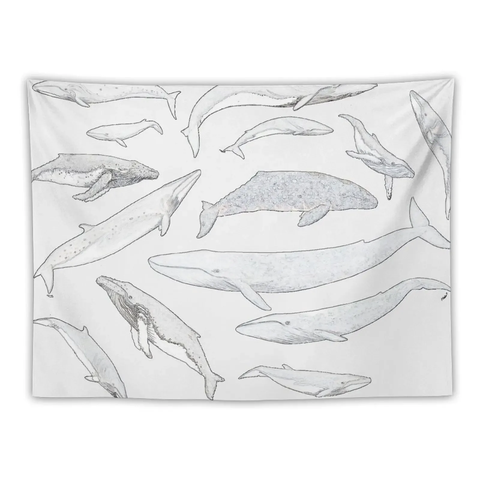 

Whales of the world Tapestry Nordic Home Decor Aesthetic Room Decorations House Decoration Home And Comfort Decor Tapestry