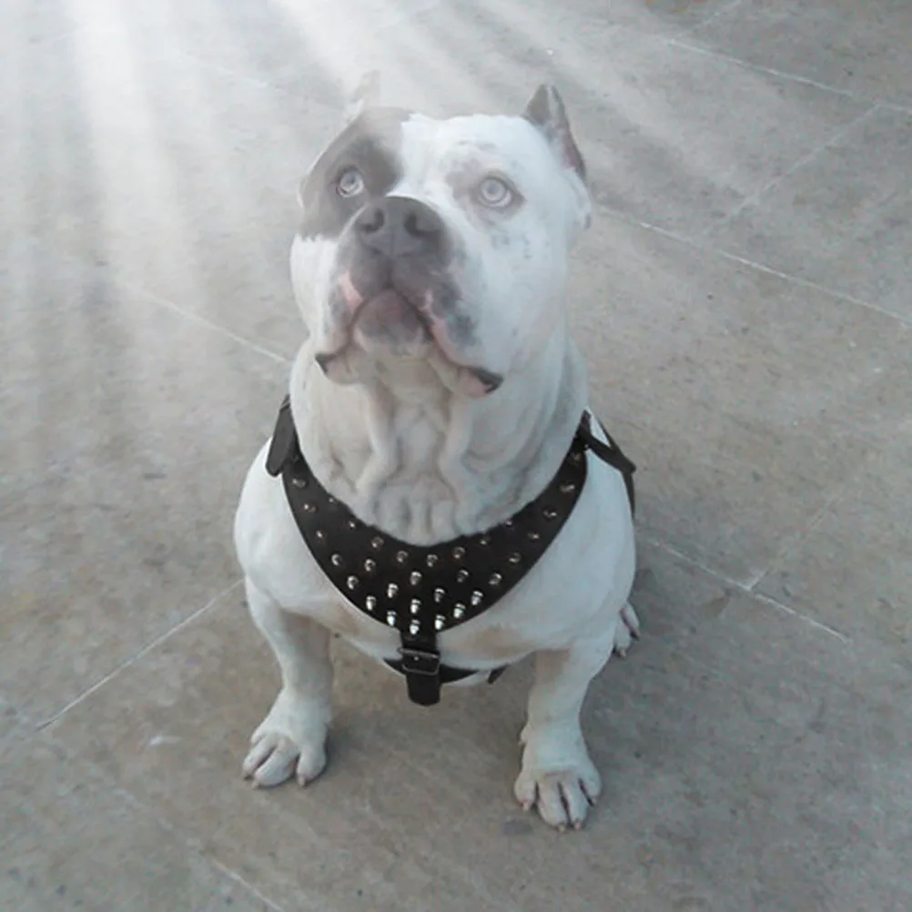 

PU dog harness Spike dog harness harness Terrier harness