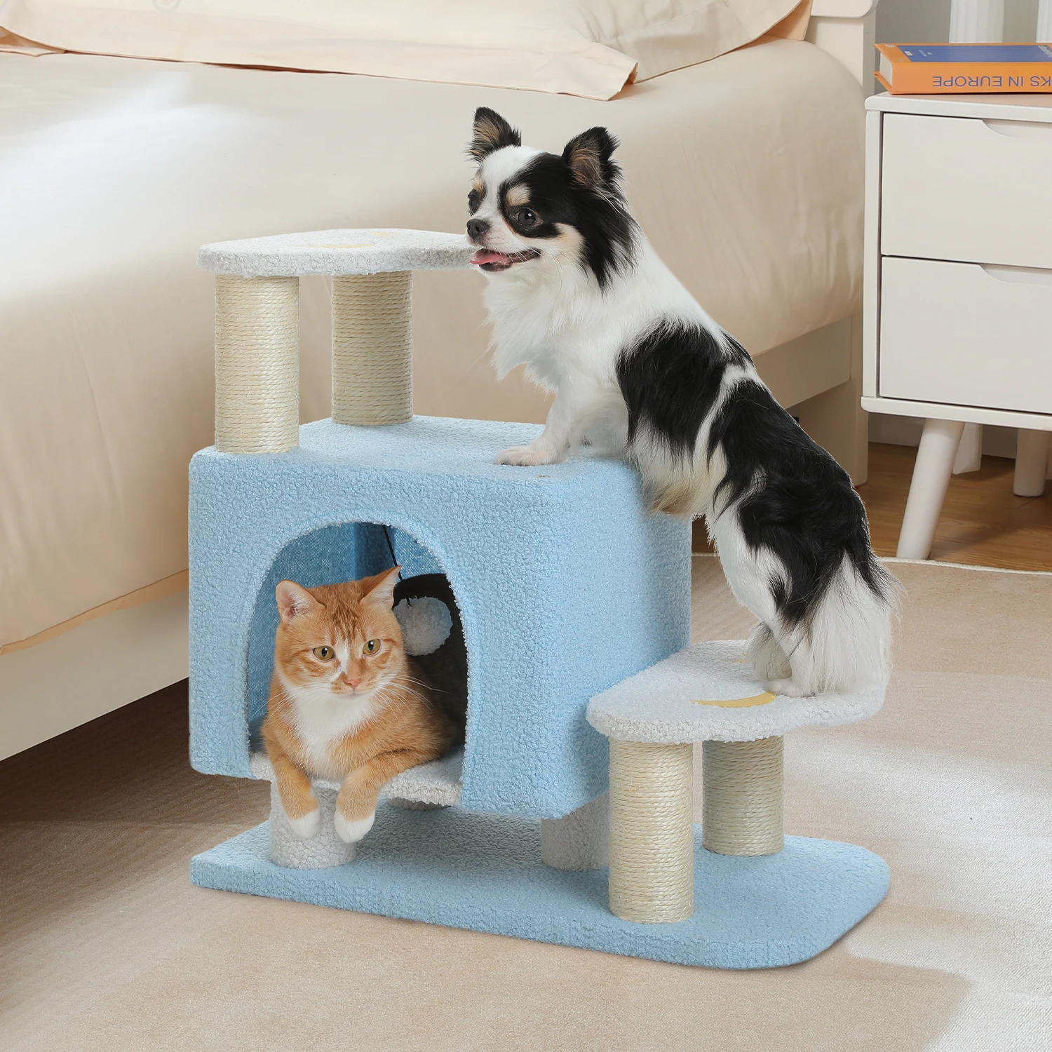 yZ[zLbg^[ ~j L^[  Ki ybg KiXebv Ⴂ L ܌ ^[  X  _ L xbh Wv̋ȔL lC eL  VjA u ȃXy[X gȒP  - 55cm