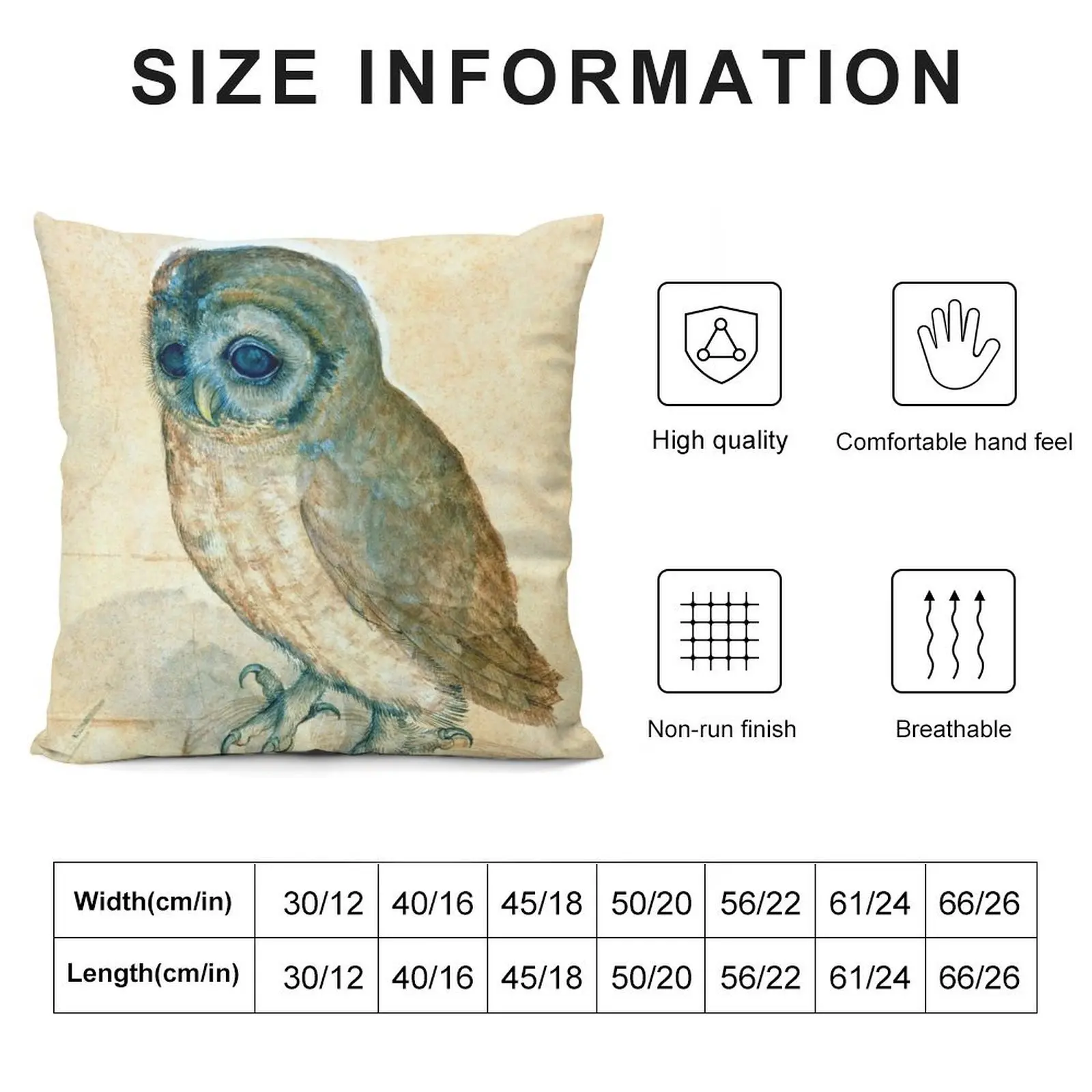 Albrecht Dürer Little Owl Throw Pillow Decorative Cover For Living Room Room decorating items pillow pillowcase pillow