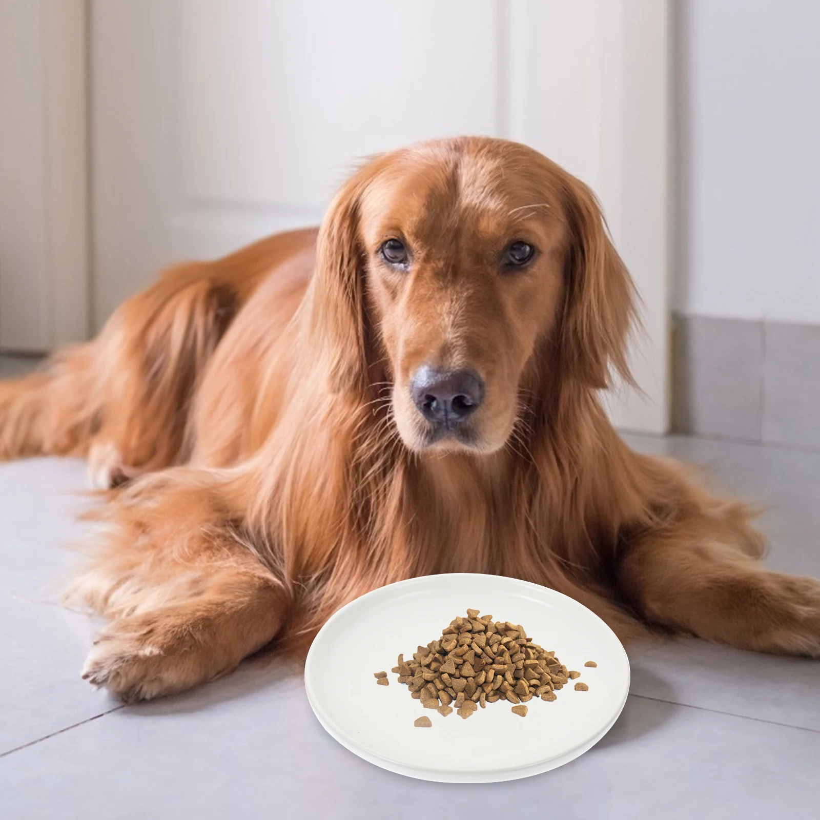 

Ceramic Cat Bowl Minimalist Design Functional Shape Easy to Wash Reusable Daily Use Pet Dish for Wet Dry Food and Fresh Water