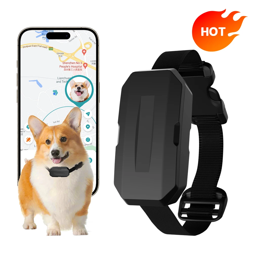 

GPS для животных Wi-Fi 4G Ошейник-локатор для охотничьих собак Rastreador Pet Gps-трекер Ошейник