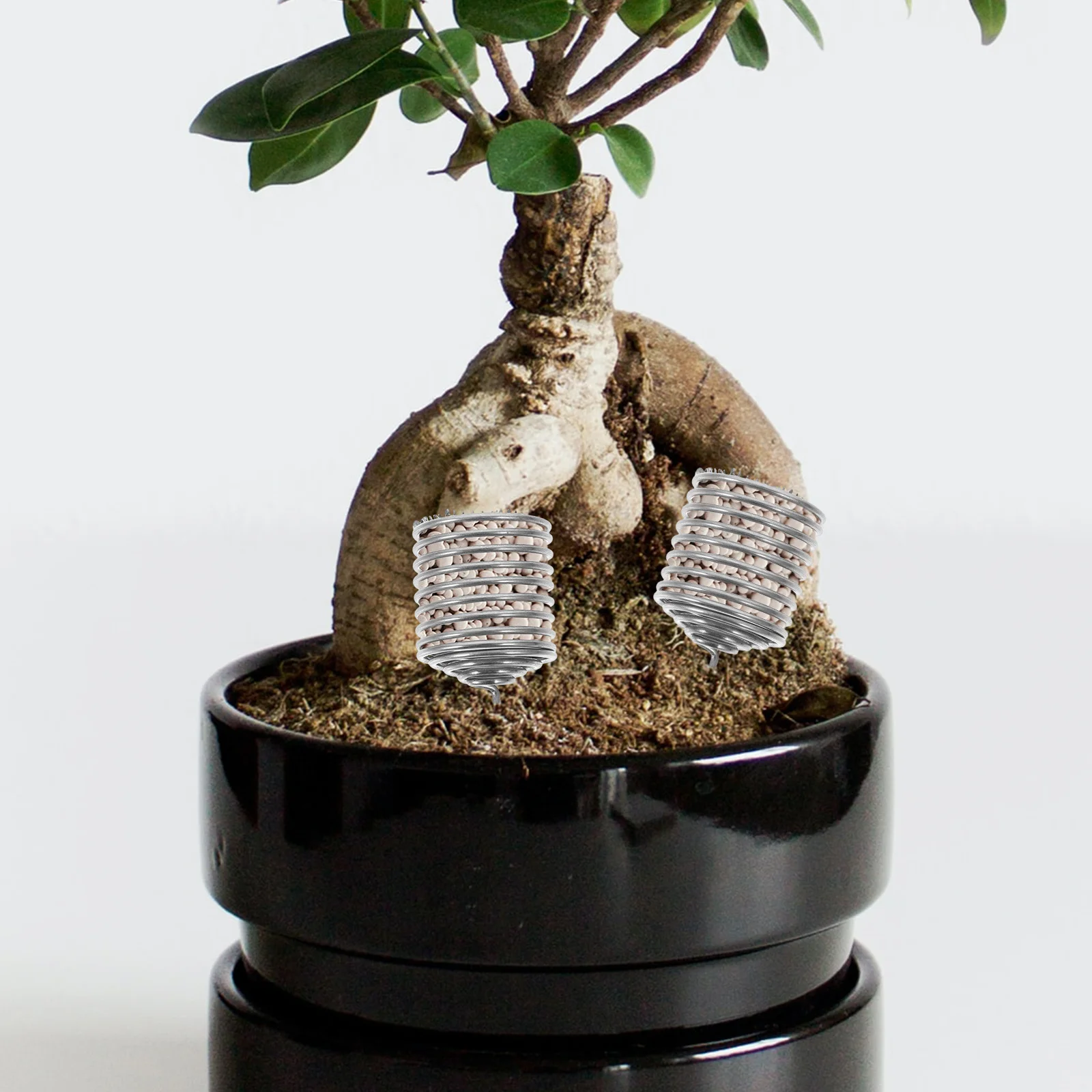 

6pcs Fertilizer Box Stainless Steel Reusable For Bonsai Succulents Flower Garden Planting Fertilization Container Gardening