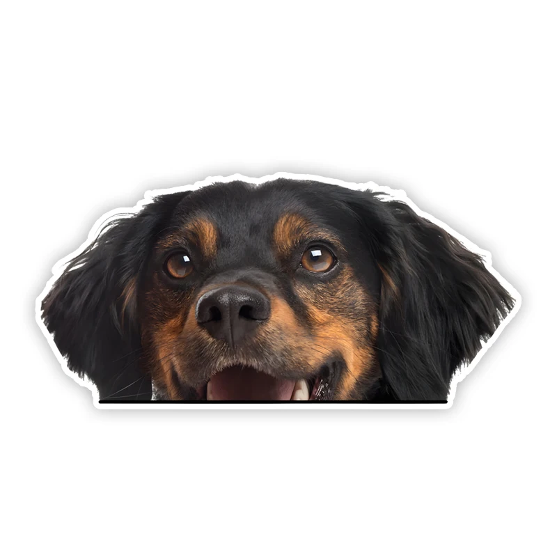 

DK336# Brittany Spaniel Car Bumper Window Stickers For Car Truck Van Fashion Decals Vinyl Material Creative Stickers