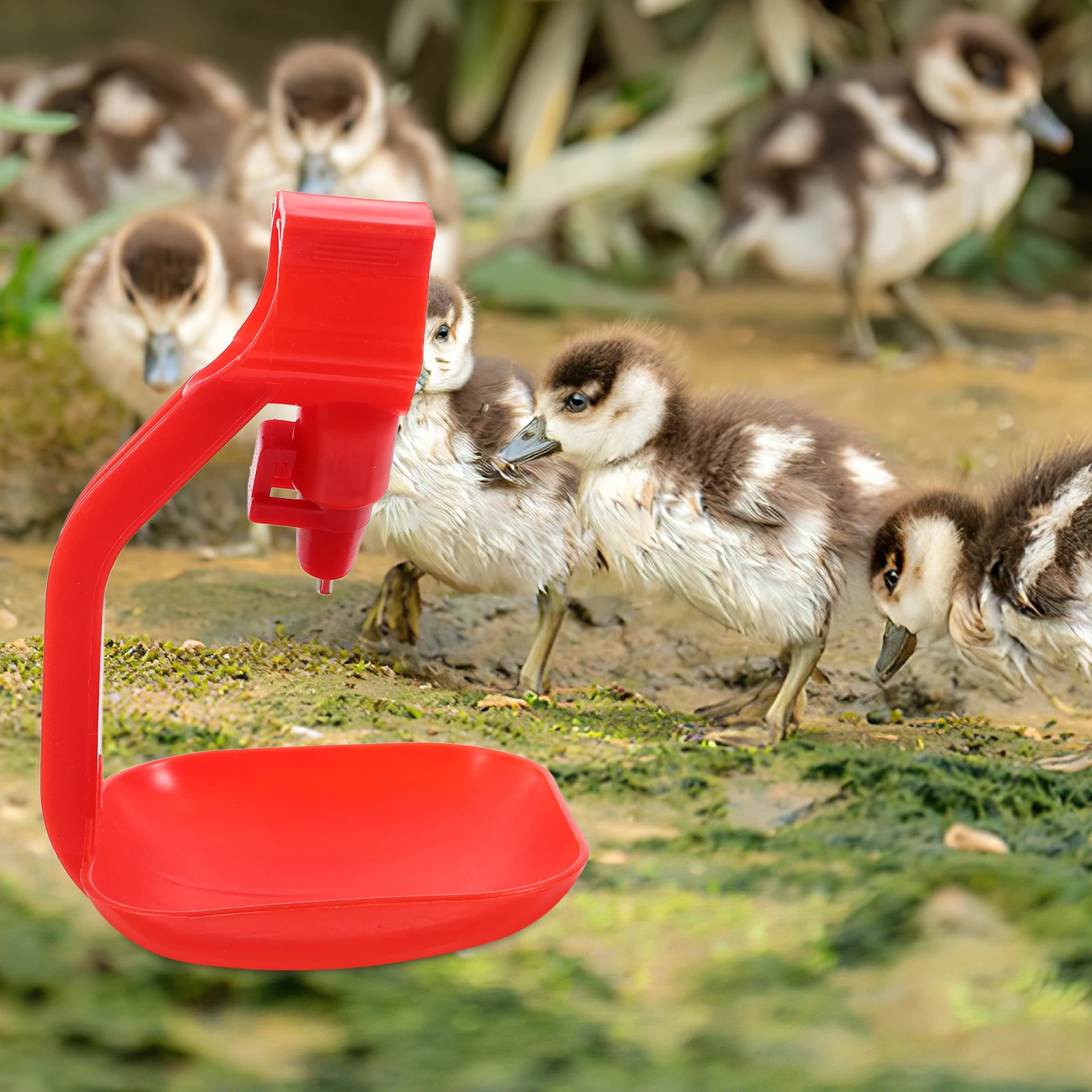 

6pcs Automatic Water Bowl Chicken Duck Goose Pigeon Continuous Fresh Water Flow Even Distribution Poultry Farming Accessories