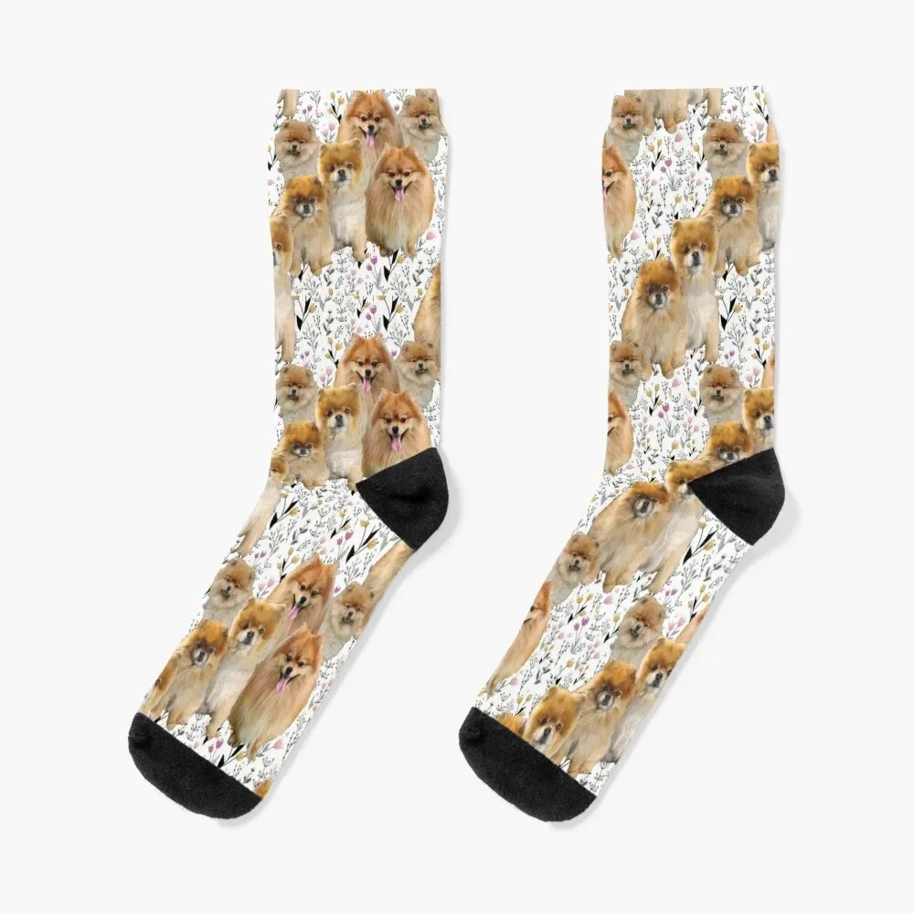 

Pomeranian Pattern Socks luxury happy Man Socks Women's