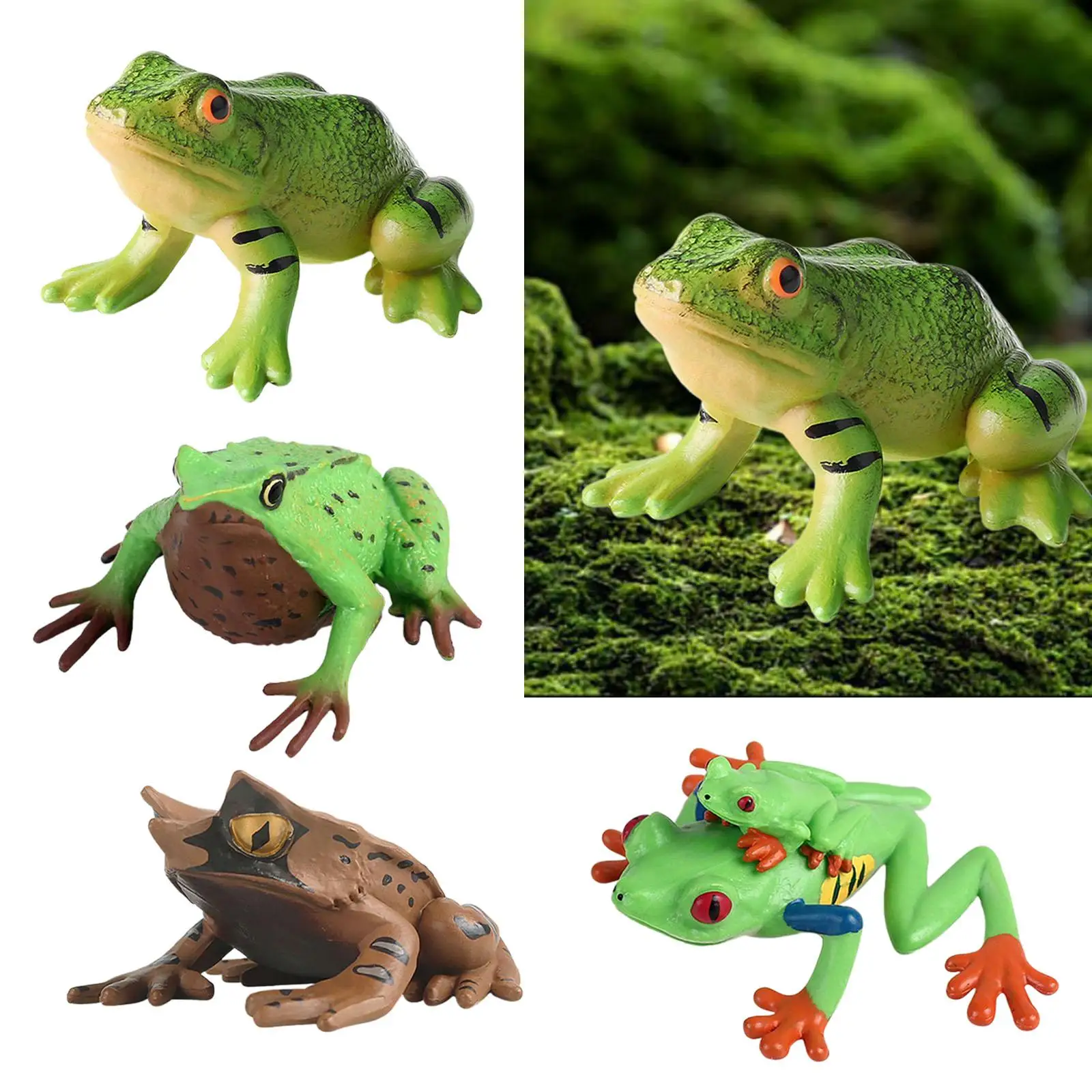 Frog Figurine Educational Collection Animal Model Toy for Party Decoration Bath Toys Party Favors Micro Landscape Teaching Aids